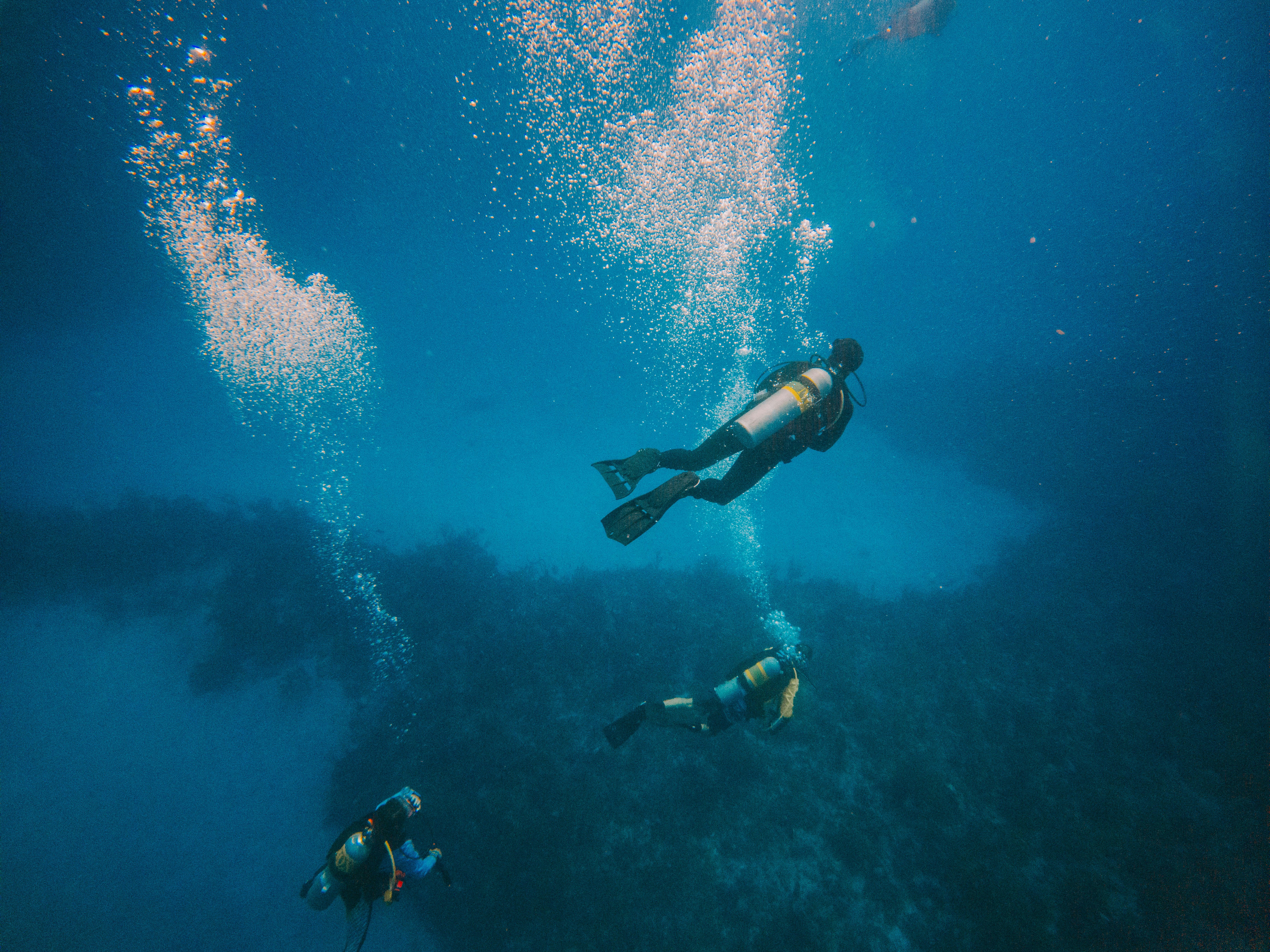 Scuba divers exploring the deep waters of Aqaba Red Sea