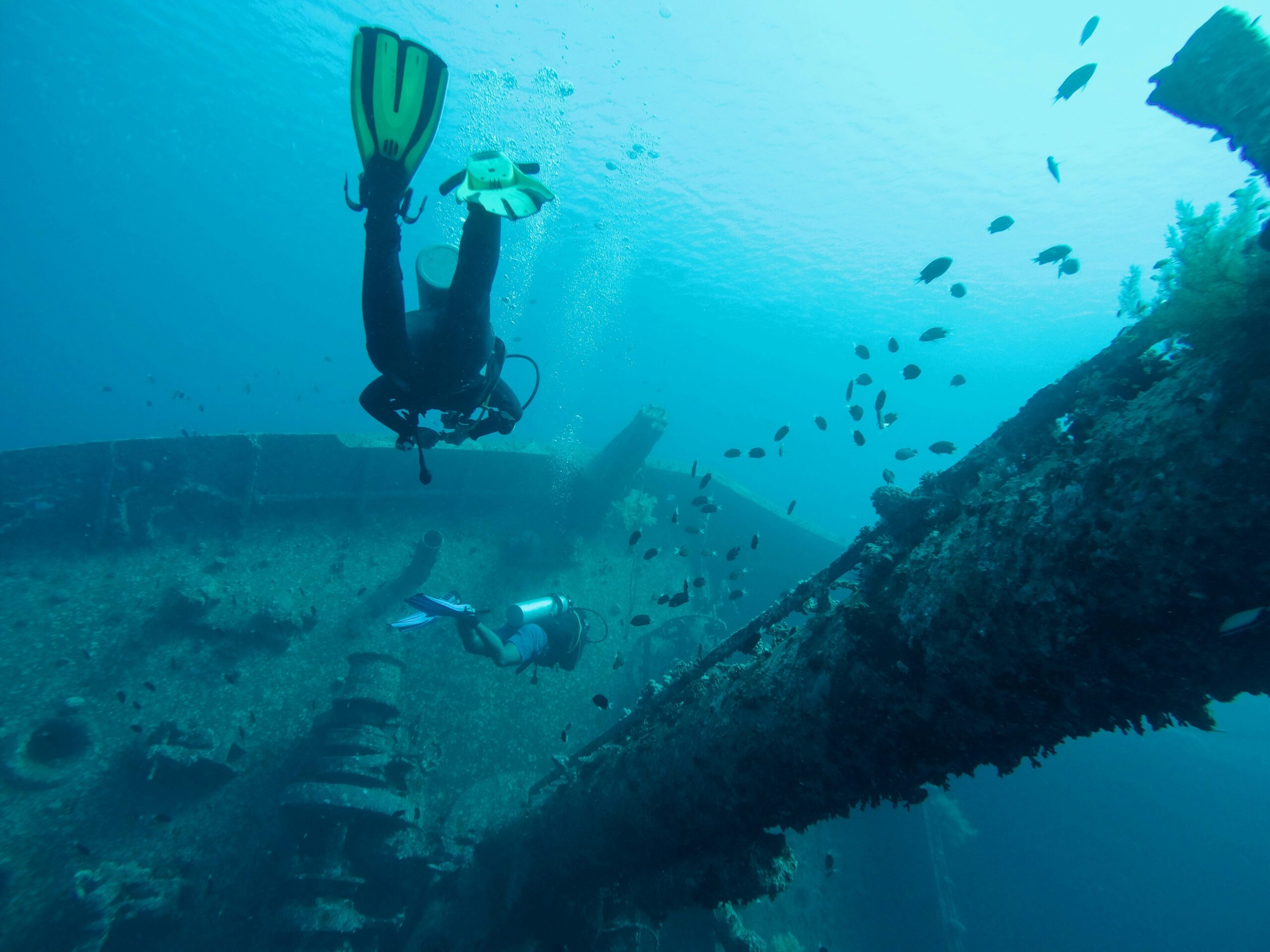 Divers exploring a shipwreck in Aqaba Red Sea