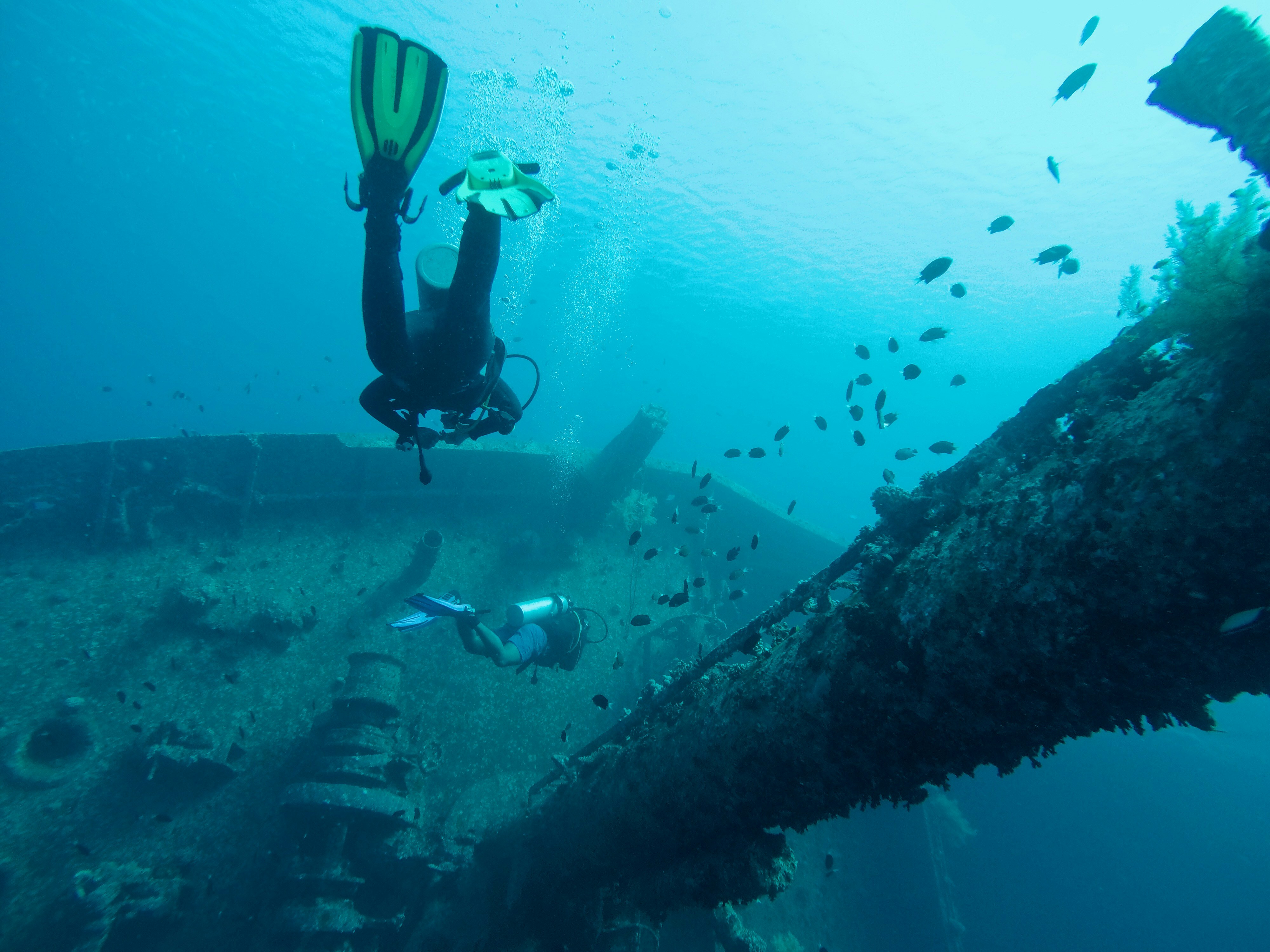 Divers exploring a shipwreck in Aqaba Red Sea